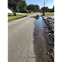 Day after the king tide Virginia Beach image